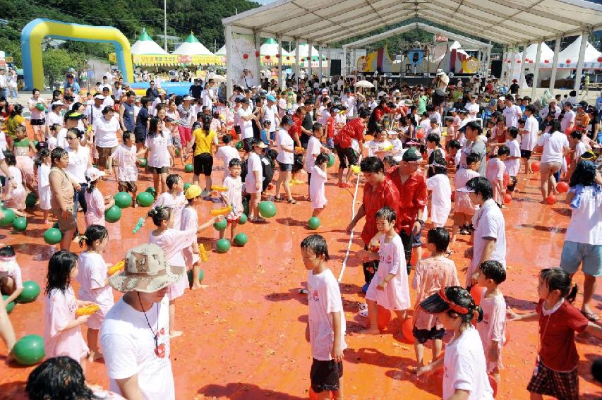 제6회 화천 화악산토마토축제 각종체험행사 의 사진