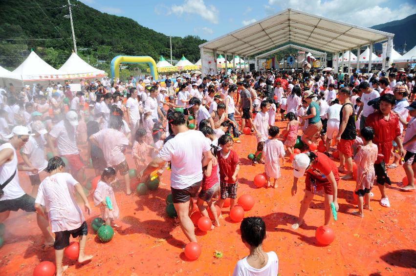 제6회 화천 화악산토마토축제 각종체험행사 의 사진