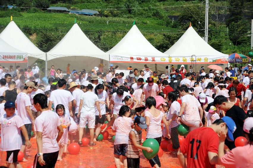 제6회 화천 화악산토마토축제 각종체험행사 의 사진