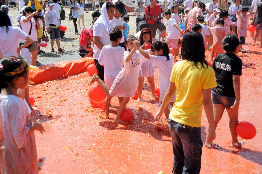 제6회 화천 화악산토마토축제 각종체험행사 의 사진