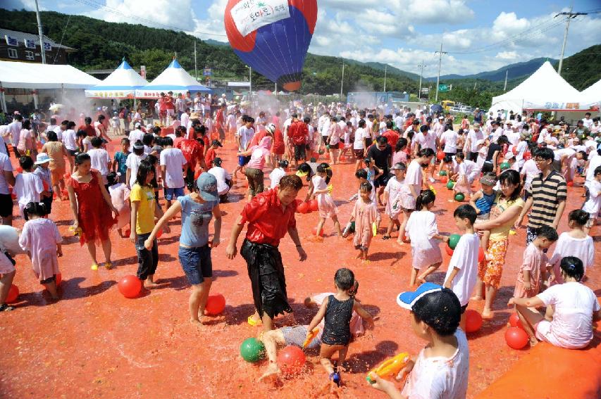 제6회 화천 화악산토마토축제 각종체험행사 의 사진