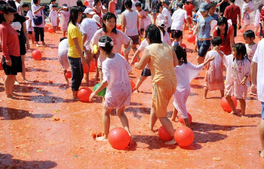 제6회 화천 화악산토마토축제 각종체험행사 의 사진