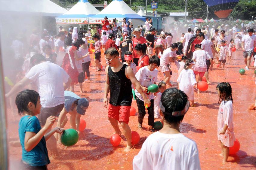 제6회 화천 화악산토마토축제 각종체험행사 의 사진