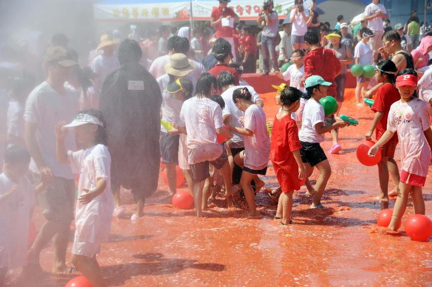 제6회 화천 화악산토마토축제 각종체험행사 의 사진