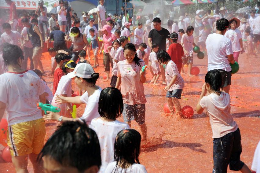 제6회 화천 화악산토마토축제 각종체험행사 의 사진