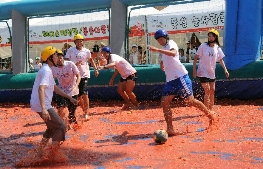 제6회 화천 화악산토마토축제 각종체험행사 의 사진