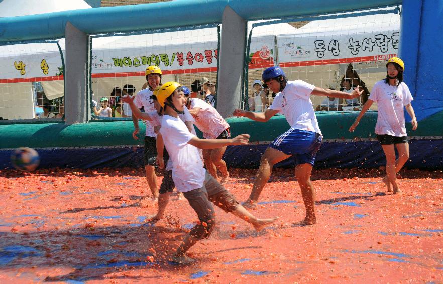 제6회 화천 화악산토마토축제 각종체험행사 의 사진