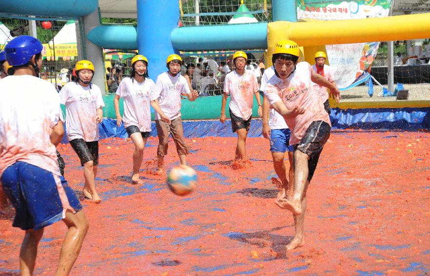 제6회 화천 화악산토마토축제 각종체험행사 의 사진