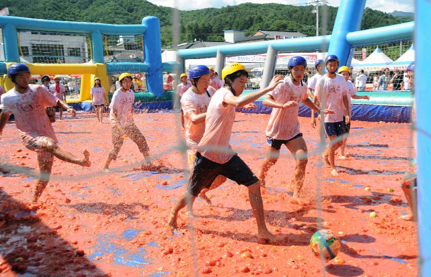 제6회 화천 화악산토마토축제 각종체험행사 의 사진