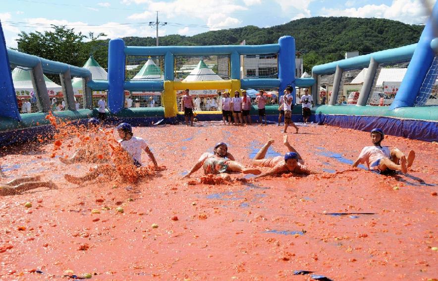 제6회 화천 화악산토마토축제 각종체험행사 의 사진