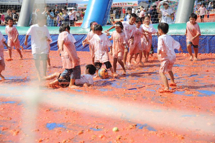 제6회 화천 화악산토마토축제 각종체험행사 의 사진