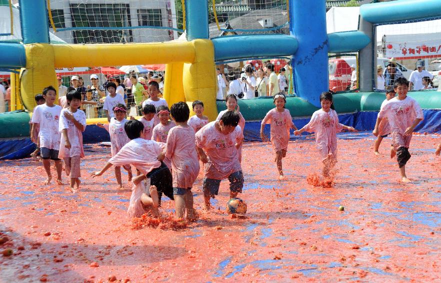 제6회 화천 화악산토마토축제 각종체험행사 의 사진