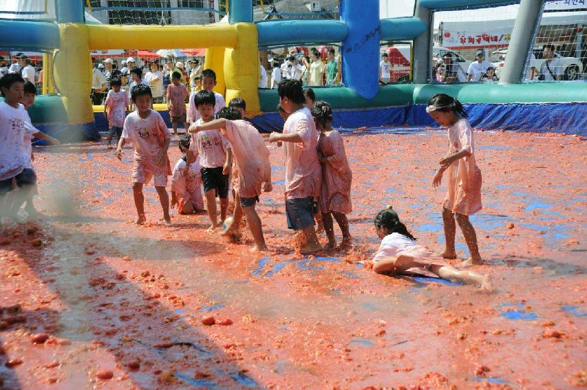 제6회 화천 화악산토마토축제 각종체험행사 의 사진