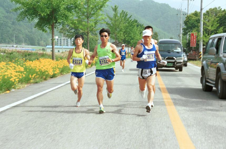 비목하프마라톤대회 의 사진