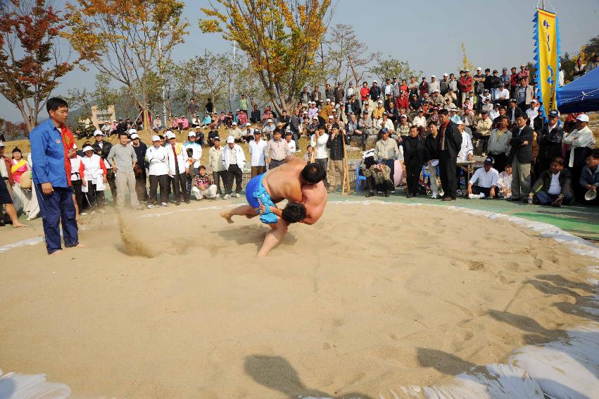 제24회 용화축전(민속행사) 의 사진