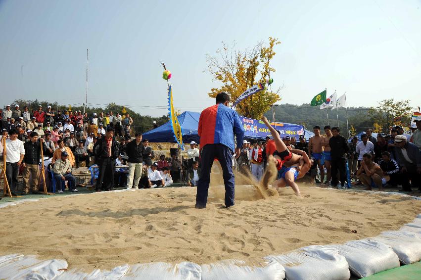 제24회 용화축전(민속행사) 의 사진