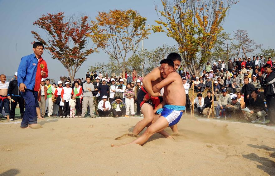 제24회 용화축전(민속행사) 의 사진