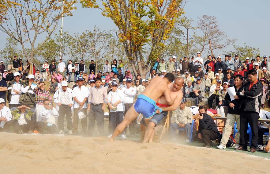 제24회 용화축전(민속행사) 의 사진