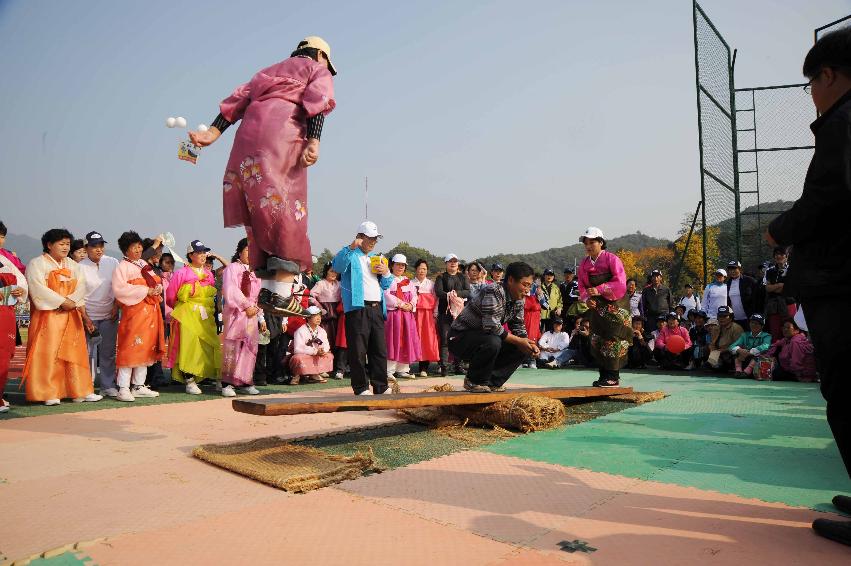 제24회 용화축전(민속행사) 의 사진