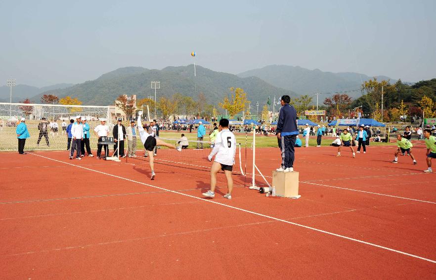 제24회 용화축전(체육행사) 의 사진