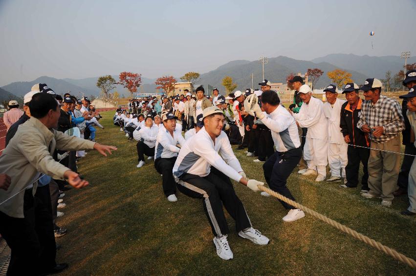 제24회 용화축전(민속행사) 의 사진