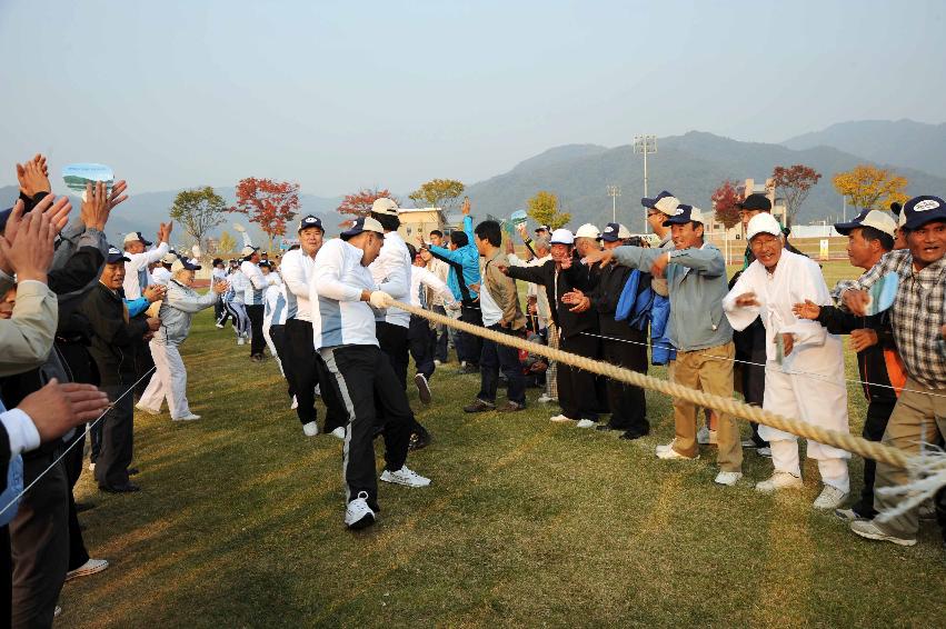 제24회 용화축전(민속행사) 의 사진