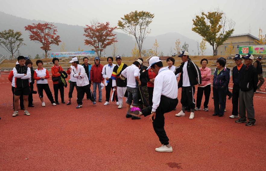 제24회 용화축전(민속행사) 의 사진