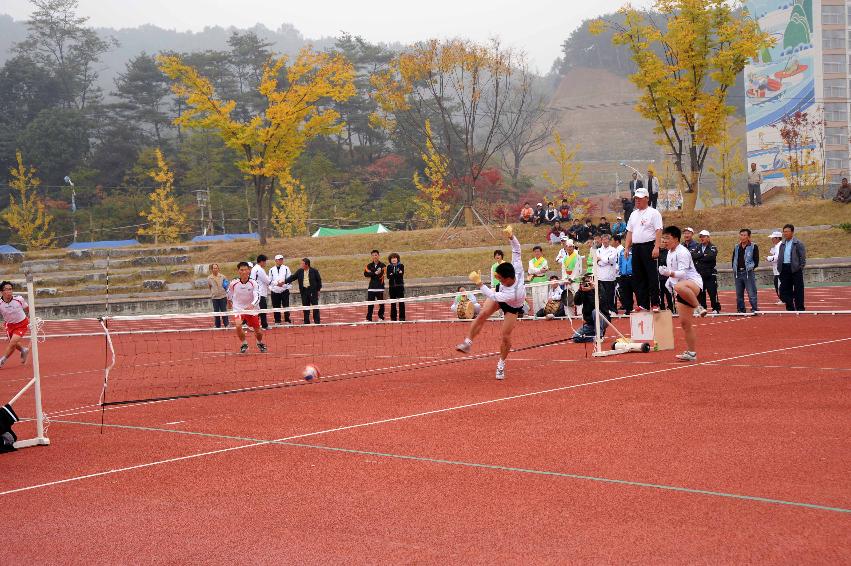 제24회 용화축전(체육행사) 의 사진