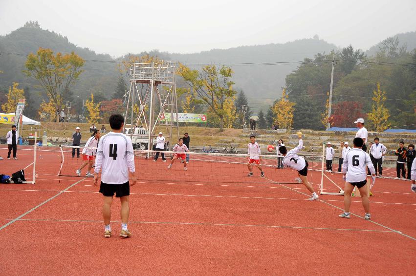 제24회 용화축전(체육행사) 의 사진