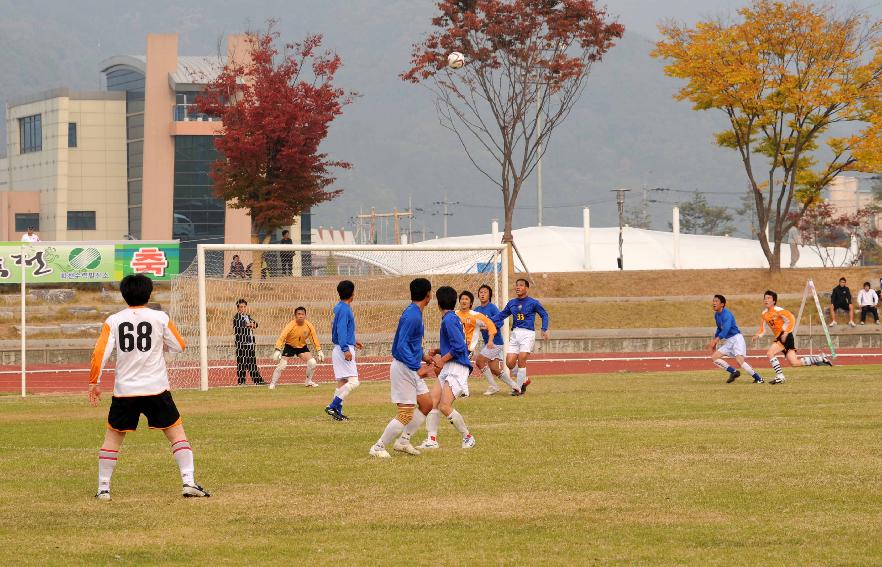 제24회 용화축전(체육행사) 의 사진