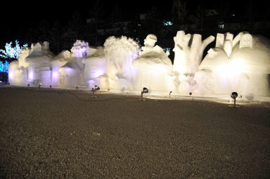 2009산천어축제 세계겨울도시광장 의 사진