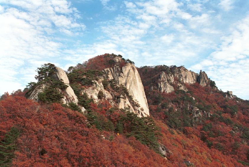 용화산 사진