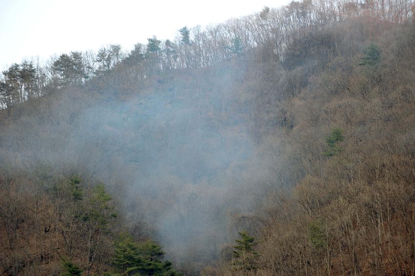 신읍리 산불진화 사진