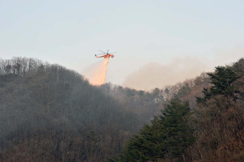 신읍리 산불진화 의 사진