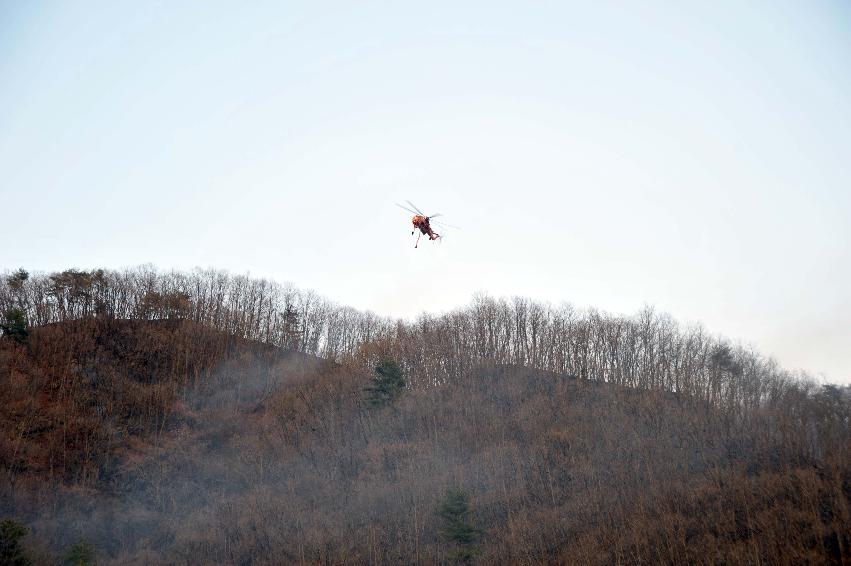 신읍리 산불진화 의 사진