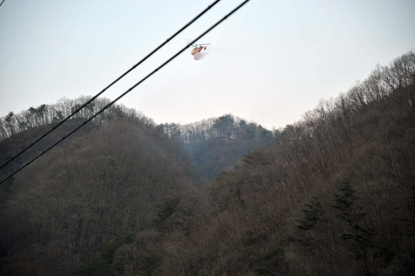 신읍리 산불진화 의 사진