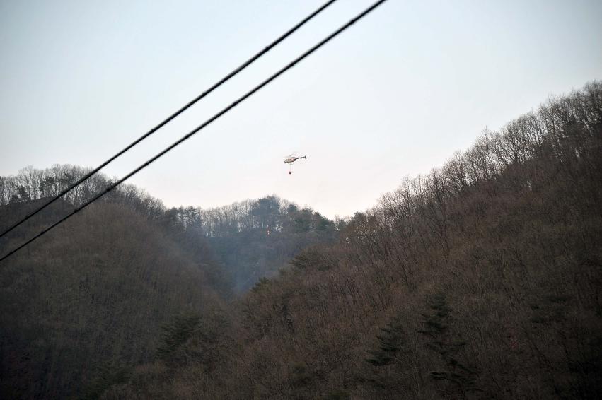 신읍리 산불진화 의 사진