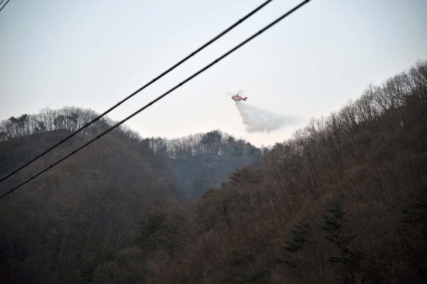 신읍리 산불진화 의 사진