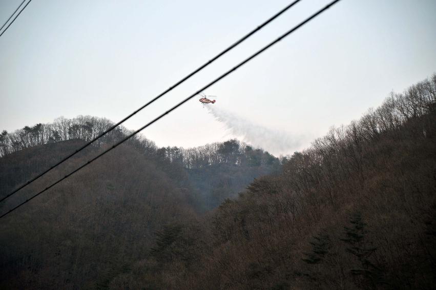 신읍리 산불진화 의 사진