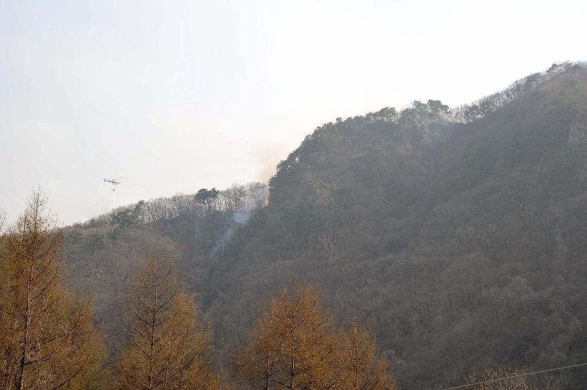 봉오리 산불진화 사진