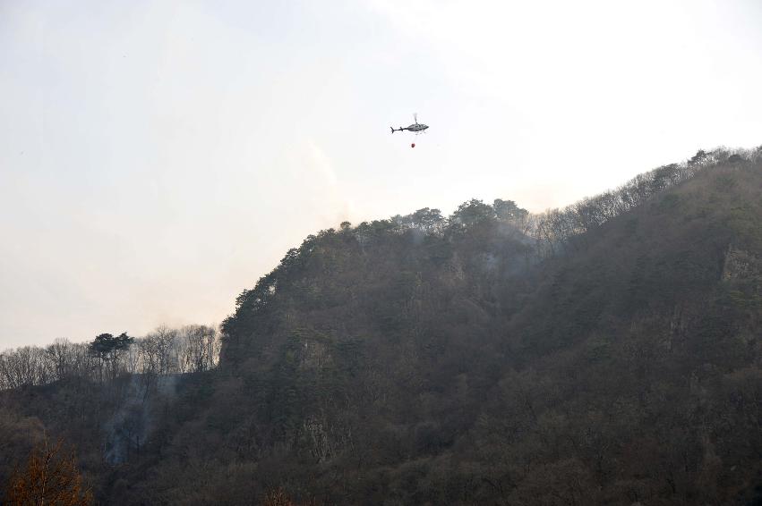 봉오리 산불진화 의 사진