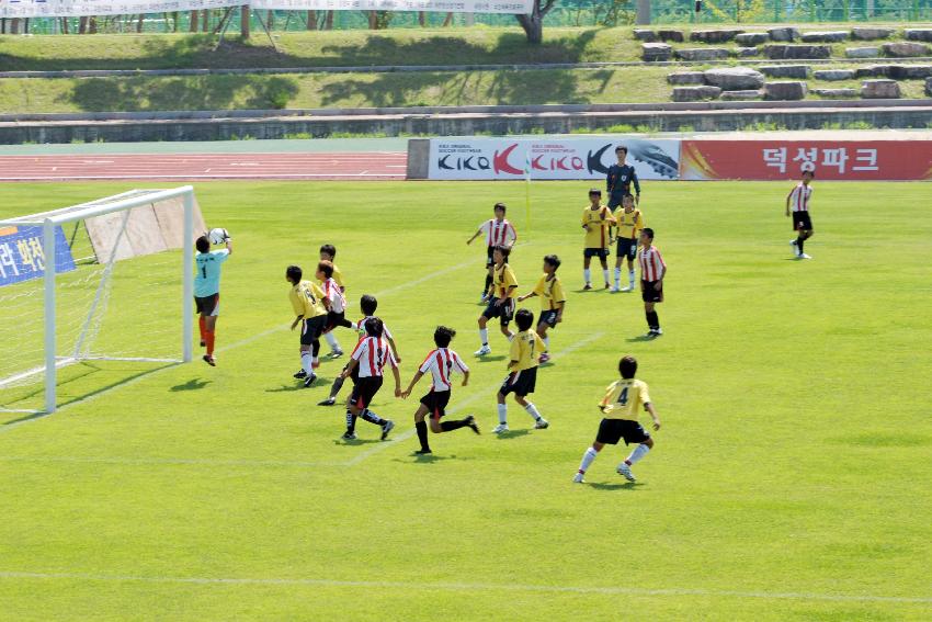 2009 화천평화페스트벌 전국유소년 축구대회 사진