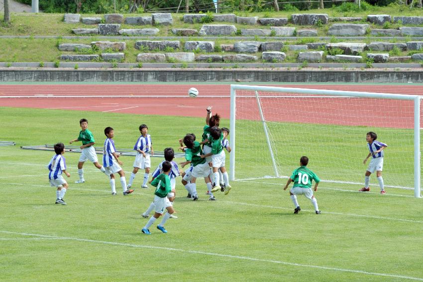 2009 화천평화페스트벌 전국유소년 축구대회 의 사진