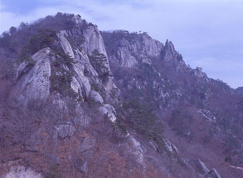 용화산 의 사진