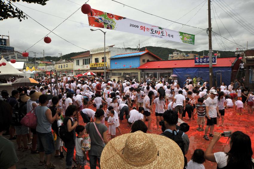 2009 토마토축제 각종체험 사진