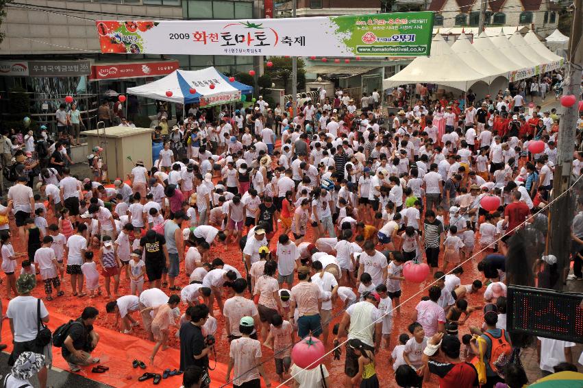 2009 토마토축제 각종체험 의 사진