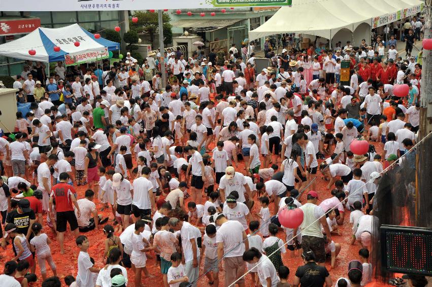 2009 토마토축제 각종체험 의 사진