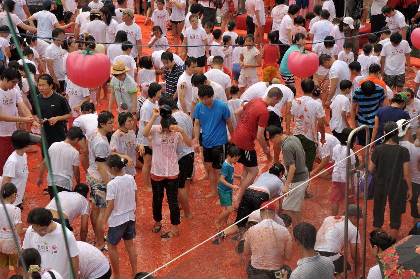 2009 토마토축제 각종체험 의 사진