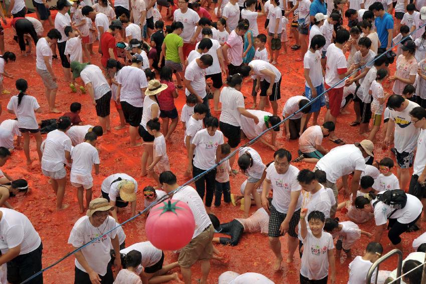 2009 토마토축제 각종체험 의 사진