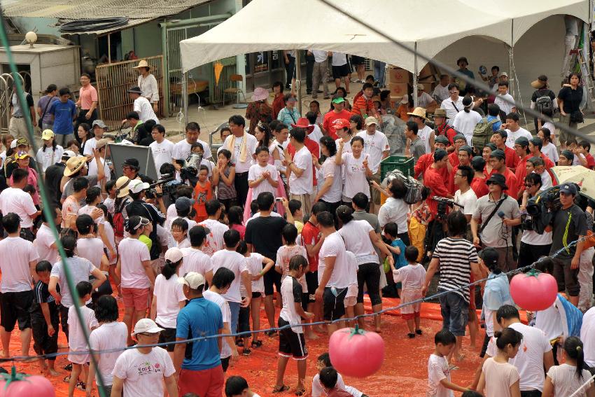 2009 토마토축제 각종체험 의 사진